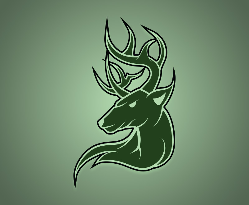 Wyoming State Spirit Secondary Logo