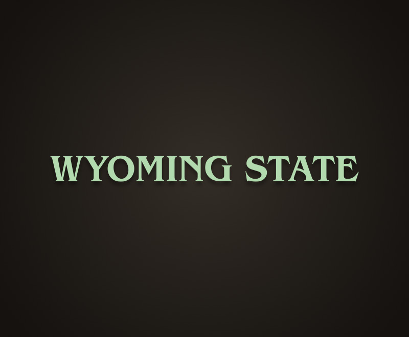 Wyoming State Spirit Tertiary Logo